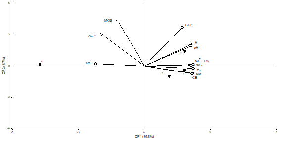 Resultados del análisis de Componentes Principales; se indican los sitios y las variables estudiadas para la profundidad -10 cm a -25 cm.
