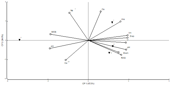 Resultados del análisis de Componentes Principales; se indican los sitios y las variables estudiadas para la profundidad de -25 cm a -55 cm.