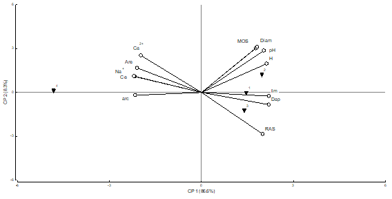 Resultados del análisis de Componentes Principales; se indican los sitios y las variables estudiadas para la profundidad -55 cm a -115 cm.