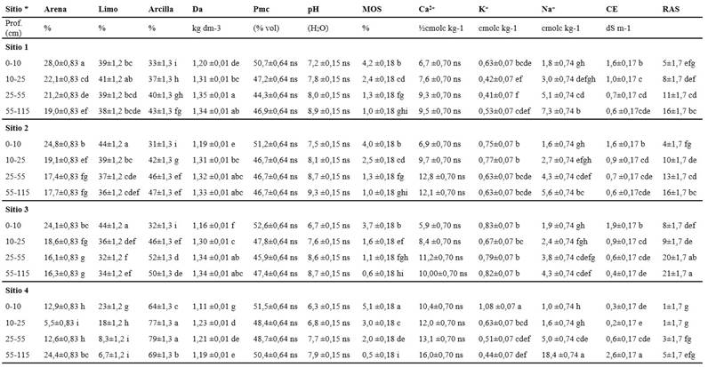 Datos de suelo en interacción sitio x profundidad (promedio de 12 repeticiones).