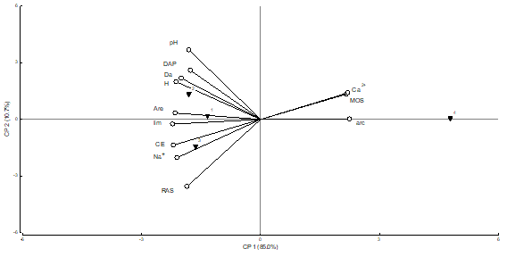 Resultados del análisis de Componentes Principales; se indican los sitios y las variables estudiadas para la profundidad 0 a -10 cm.