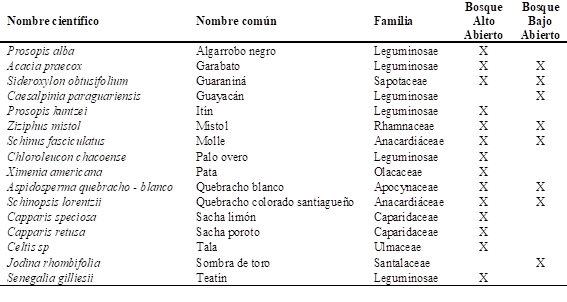 Especies inventariadas en el Bosque Alto Abierto y en el Bosque Bajo Abierto.