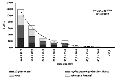 Distribución diamétrica del Bosque Alto Abierto