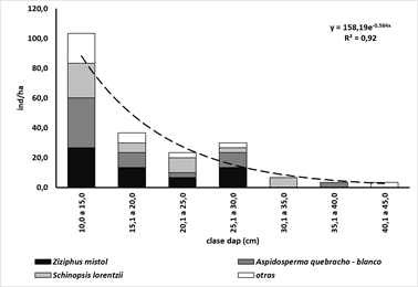 Distribución diamétrica del Bosque Alto Abierto