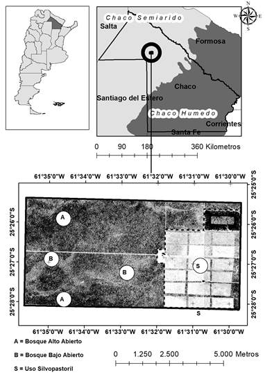 Ubicación geográfica del área de estudio