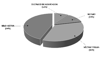 Tipos de aportes de las plantas