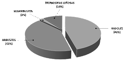 Tipos de hábito de leñosas visitadas por abejas sin aguijón