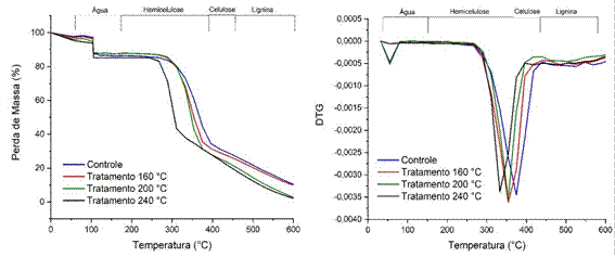 Curvas de análises termogravimétricas (TGA) e primeira derivada das curvas termogravimétricas (DTG) da madeira de Pinus elliottii controle e com diferentes tratamentos.